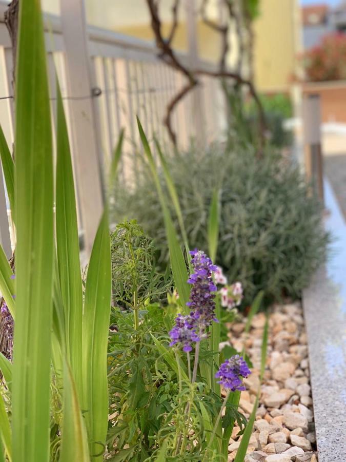 Apartments Villa Zica トロギール エクステリア 写真